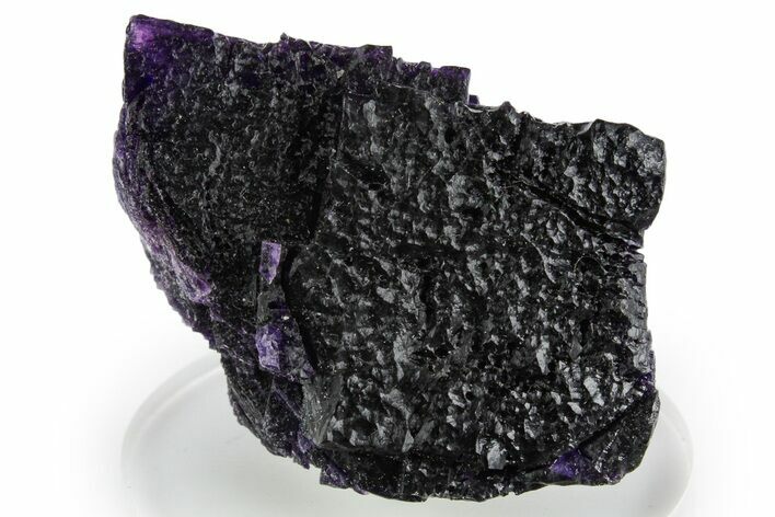 Dark Purple Fluorite Crystal Cluster - Cave-in-Rock, Illinois #347818